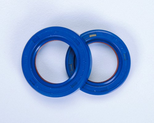 Polini Dichtringsatz, PTFE/FKM, Minarelli Motor AM6